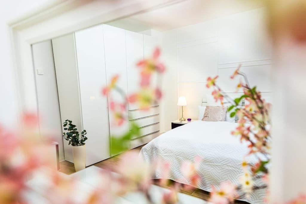 Charmante Wohnung In Koblenzer Innenstadt Koblenz  Ngoại thất bức ảnh